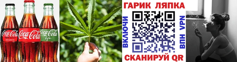 мега зеркало  Томилино  Canna-Cookies конопля 