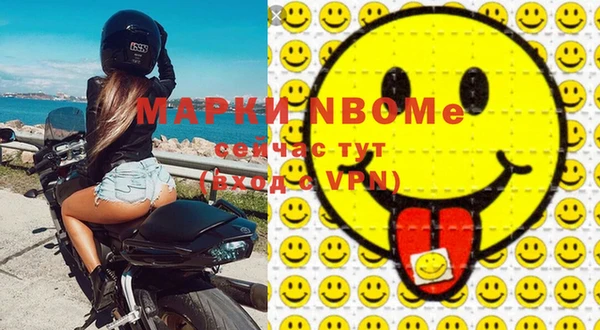 индика Абаза