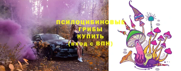 ГАЛЛЮЦИНОГЕННЫЕ ГРИБЫ Абдулино