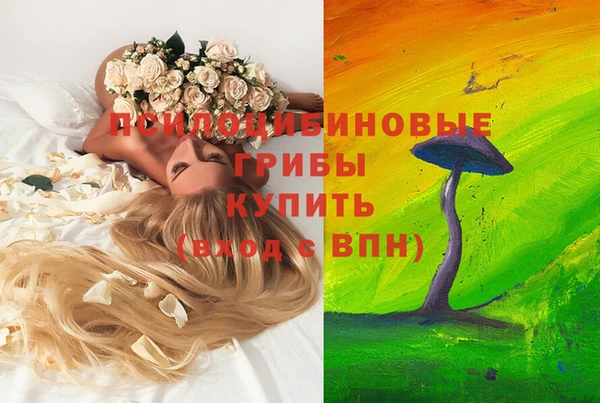 ГАЛЛЮЦИНОГЕННЫЕ ГРИБЫ Абдулино