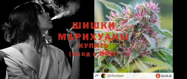 индика Абаза