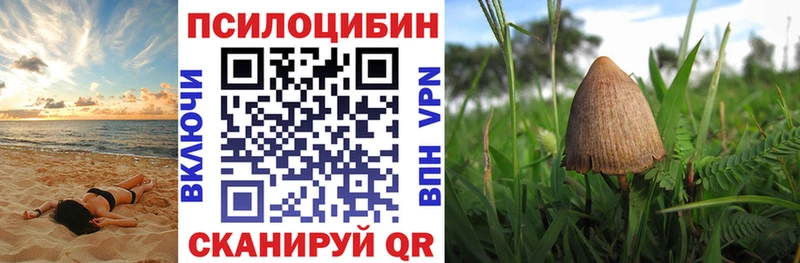 Галлюциногенные грибы мухоморы  наркотики  Томилино 